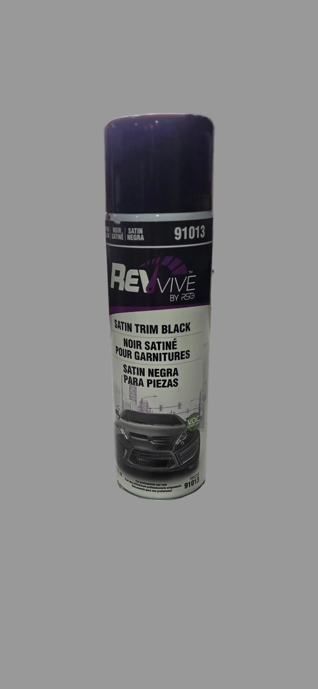 RSG REVvive 91013 trim paint satin black aerosol automotive plastic restoration